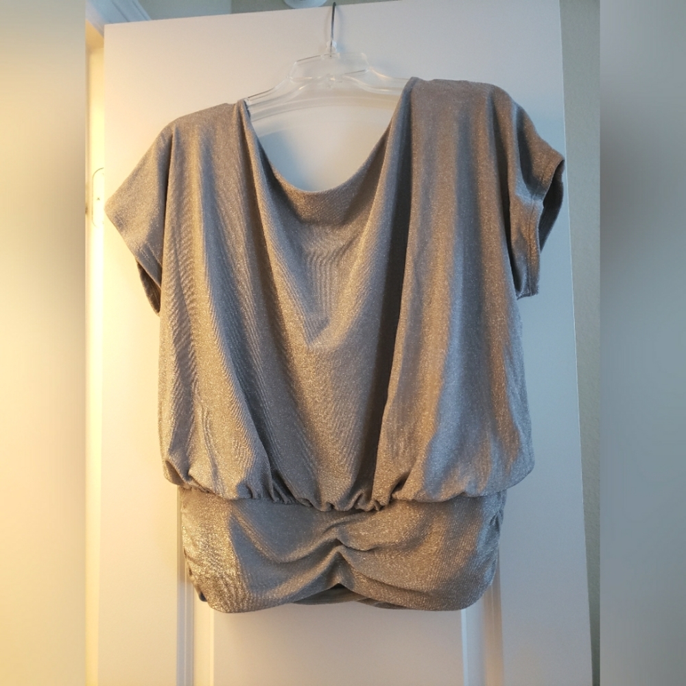 Express Silver Ruched Top (Large) - Picture 2 of 5